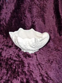 Coalport Countryware shell shaped dish small