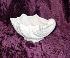 Coalport Countryware shell shaped dish small