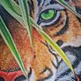 Hidden in the Leaves | FineArt Print | Framed Image 9