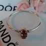 New genuine pandora moments bangle with gold clasp Image 3
