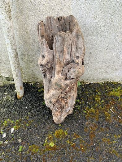 Substantial Collection of Old Bog Oak. Delivery by van can be arranged.