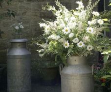 Milk Churns for Hire/Rent