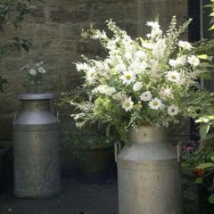 Milk Churns for Hire/Rent