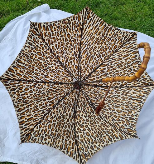Vintage Umberella, Princess, Rare find