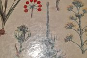 West Africa Lillies And Orchids. By J K. Morton. First Edition. Hardback In Good Condition. WITH 20 FABOLOUS PLATES WITH 80 LILLIES.