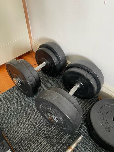 Weights & bench