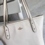 authentic Coach Image 3