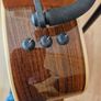 Taylor 818ce Electro Acoustic Image 10