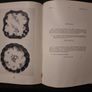 1966 Sothebys Catalogue of Highly Important English Porcelain, the property of Selwyn Parkinson. Worcester the first period. (hardback) Image 7