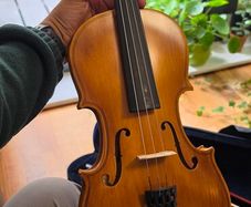 Violin