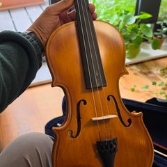 Violin
