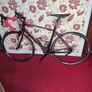 Giant Defy 1Racing bike Image 4