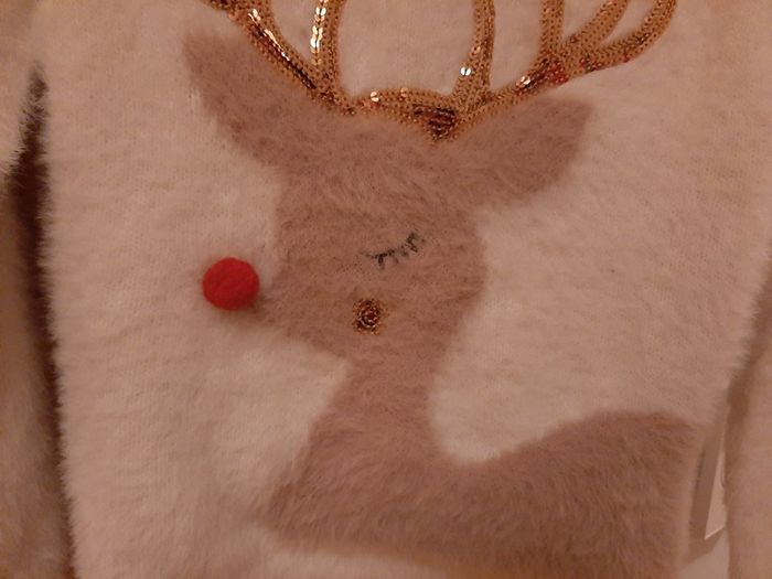 Girls christmas jumper
