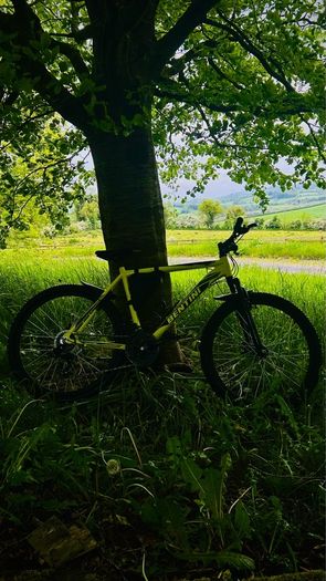 Bentini 26" Mountain Bike