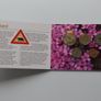 1999 Norway Uncirculated Coin Set Image 4