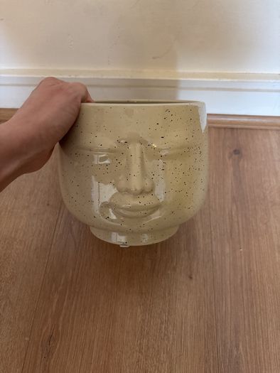 Ceramic plant pot