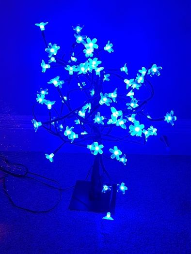 selection of lights