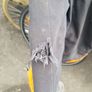 Stihl Chainsaw Trousers Used Image 4