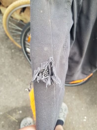 Stihl Chainsaw Trousers Used