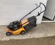 lawn