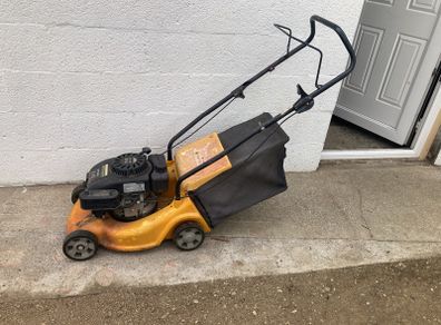 lawn