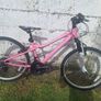 24" Bike Image 3