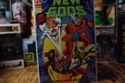New Gods ! Issue #28 ! Copper Age Comic from 1991 ! by DC Comics !