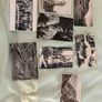 Vintage Postcard Archive 1905 - 1983 - Librarian's Correspondence - 40 Cards Worldwide Image 2