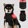 Dog Jackets/collars/Jumper Image 6