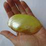 Shells, Home decor, Shell decorations.New Image 10