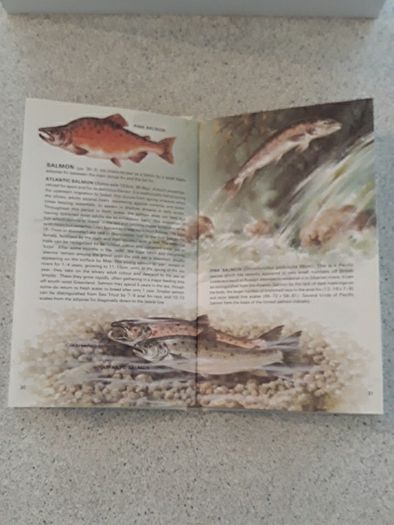 Fishing book