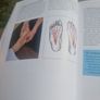Encyclopedia of Thai Massage: A Complete Guide to Traditional Thai Massage... (Soft cover) Image 10