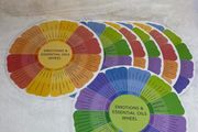 Emotions and Essential Oils Wheel