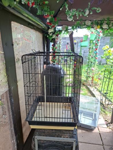 Bird Cages