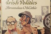 The Begrudgers Guide To Irish Politics by Breandan O' Heithir