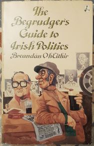 The Begrudgers Guide To Irish Politics by Breandan O' Heithir