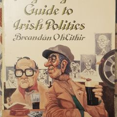 The Begrudgers Guide To Irish Politics by Breandan O' Heithir