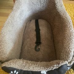 Dog Car Console Seat/Bag