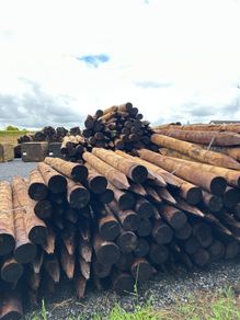 Pressure Treated Fencing Posts & Strainers