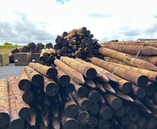 Pressure Treated Fencing Posts & Strainers