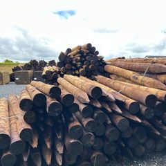 Pressure Treated Fencing Posts & Strainers