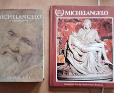 Two Michaelangelo Books