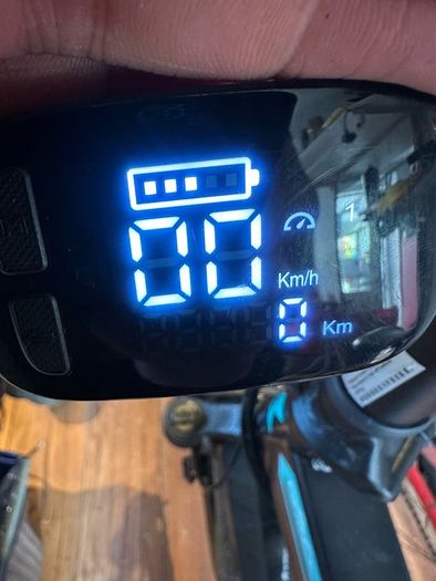 Fiido M1 Pro Electric Bike