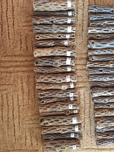 Pieces Cholla Cactus Wood 6"/Chinchilla Chews, shrimps, fishtank