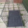 Large Dog Cage / Carrier Image 2