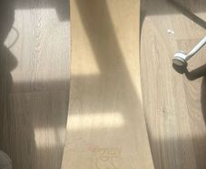 balance board toy