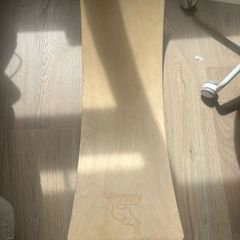 balance board toy