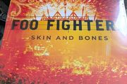 Foo Fighters - Skin and Bones vinyl