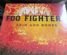 Foo Fighters - Skin and Bones vinyl