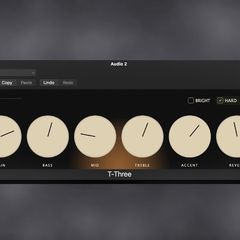 Vintage Supro Inspired Amp Sim